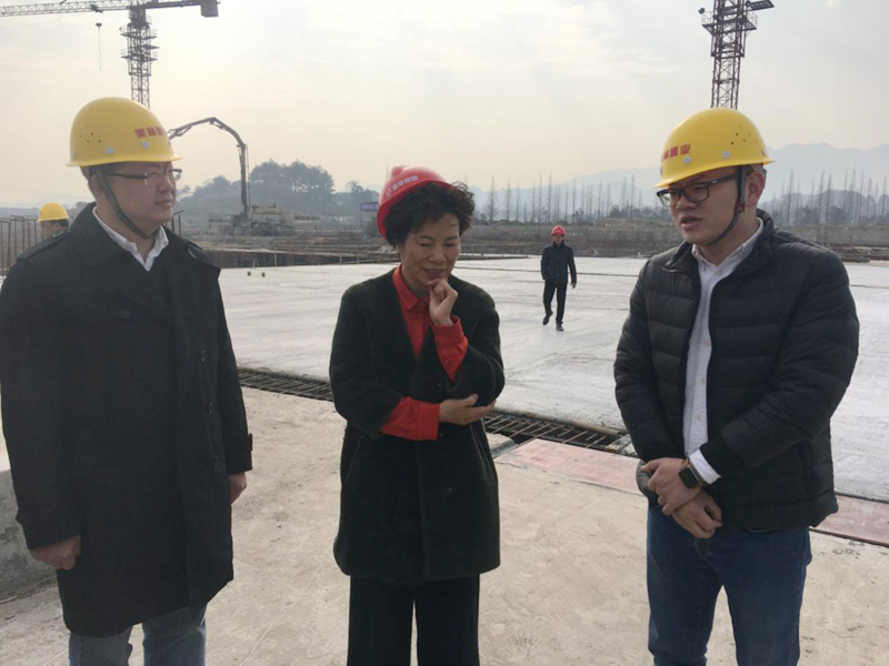 麗水市委常委、宣傳部長(zhǎng)任淑女調(diào)研松陽(yáng)美林·南城壹號(hào)項(xiàng)目