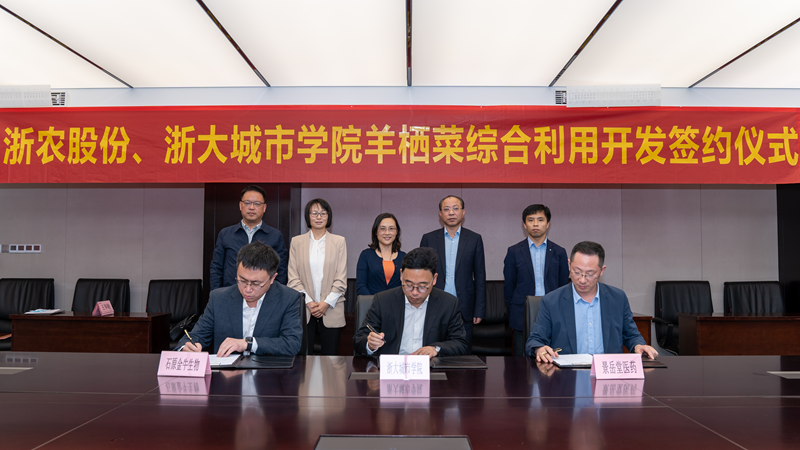浙農股份、浙大城市學院羊棲菜綜合利用開發(fā)項目成功簽約